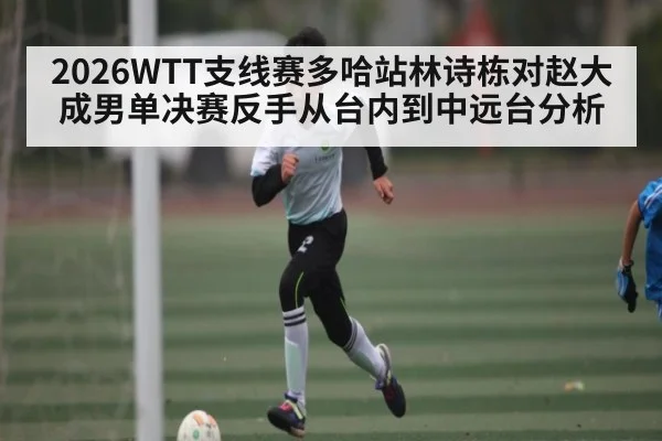 2026WTT支线赛多哈站林诗栋对赵大成男单决赛反手从台内到中远台分析